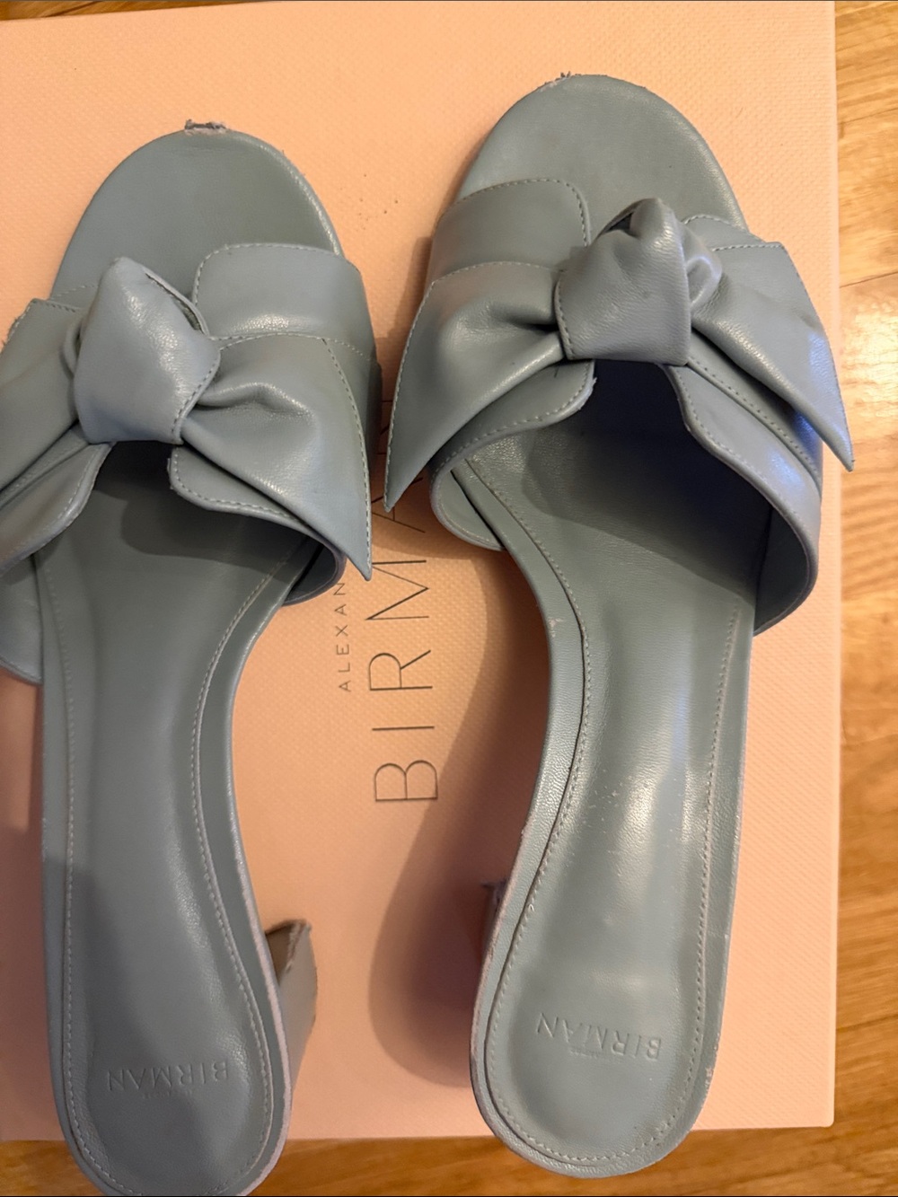 Alexandre Birman Pale Blue Leather Knot Slide Sandals